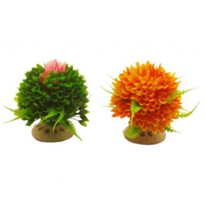 ΔΙΑΚΟΣΜΗΤΙΚΟ ΦΥΤΟ ΕΝΥΔΡΕΙΟΥ 9.5CM